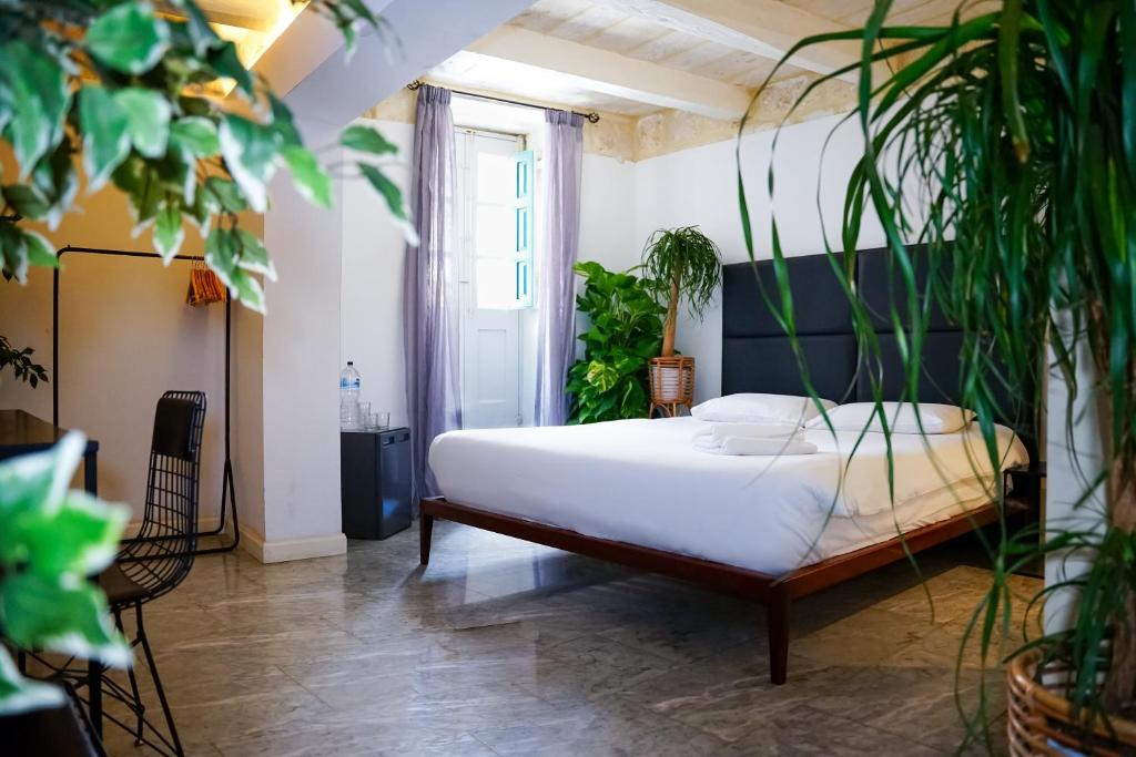 Suite Deluxe amb Llit Extragran a Valhalla Boutique Hotel